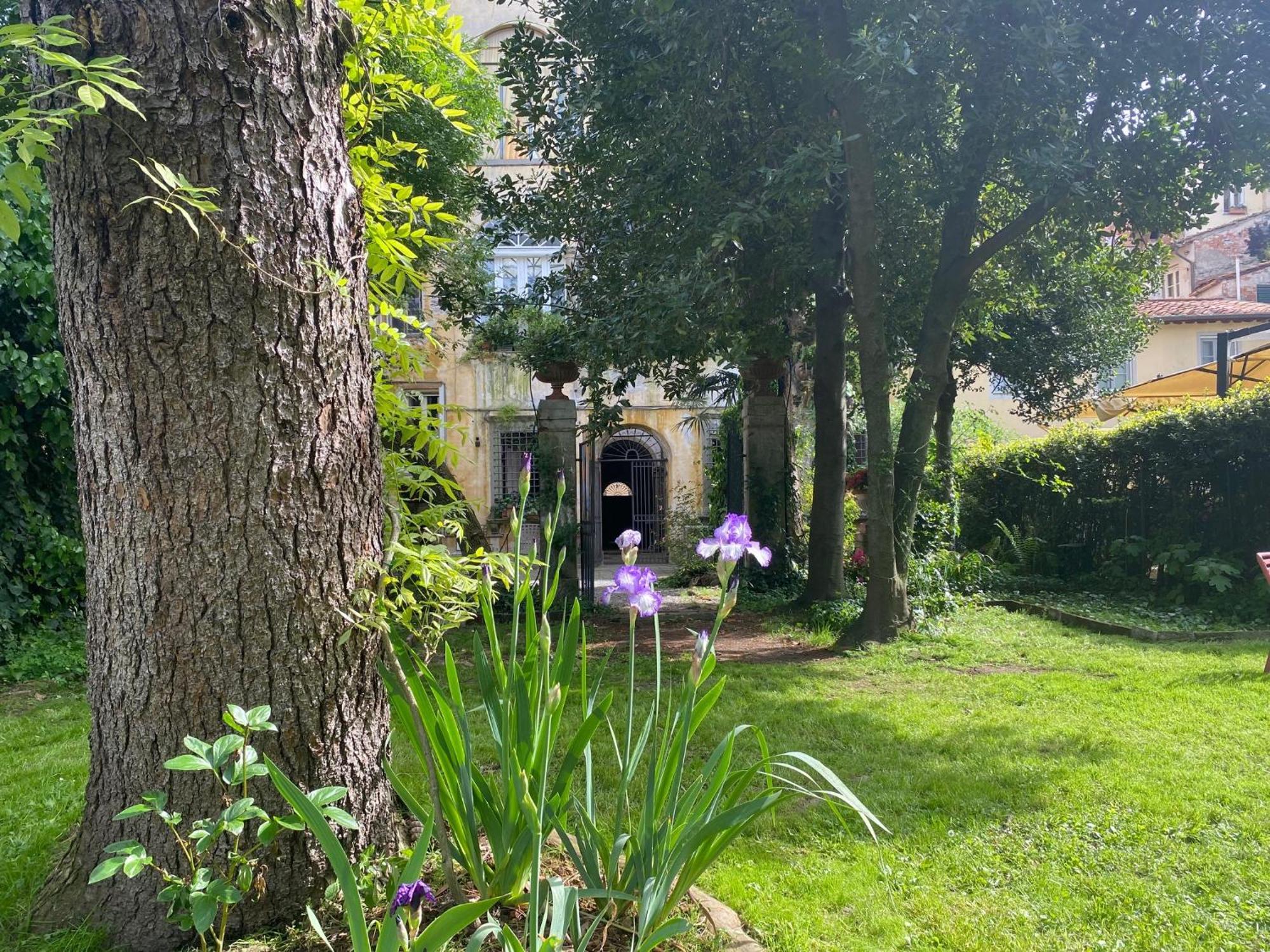 Bed & Breakfast Corte Meraviglia - Relais 3*